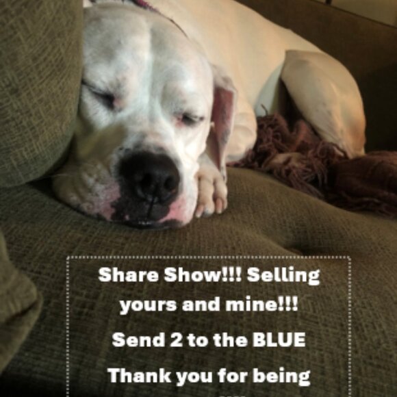Just Me and my Bulldog Accessories - Selling Yours and Mine! Share 2 to the blue!